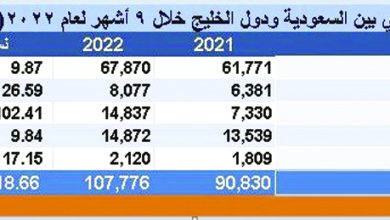 صورة التبادل التجاري للسعودية مع دول الخليج يرتفع إلى 28.7 مليار دولار خلال 9 أشهر